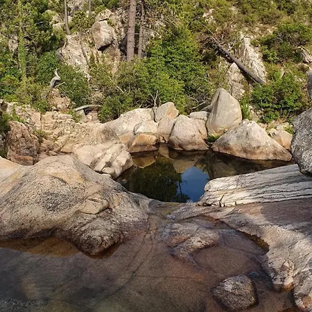 Duplex Neuf T3 Terrasse Et Jardin Proche Plages *