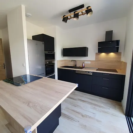 Duplex Neuf T3 Terrasse Et Jardin Proche Plages *