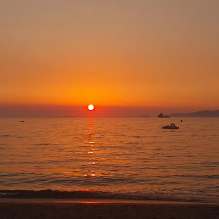 Duplex Neuf T3 Terrasse Et Jardin Proche Plages *