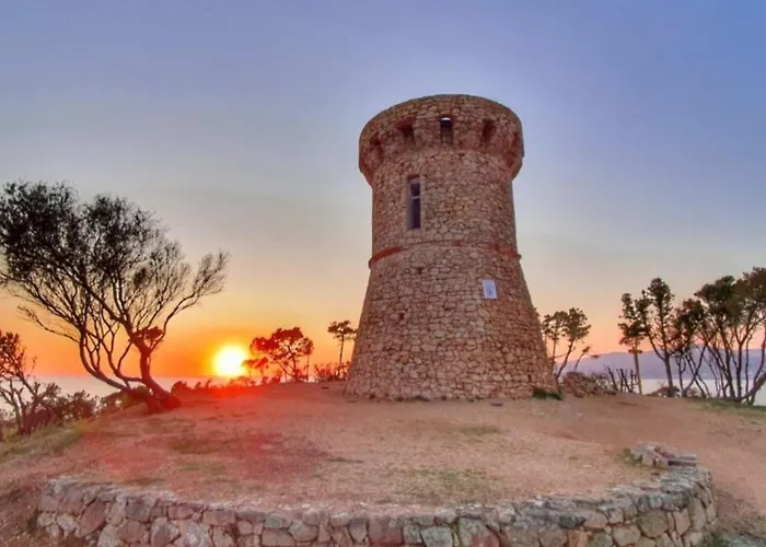 Duplex Neuf T3 Terrasse Et Jardin Proche Plages 公寓 Pietrosella