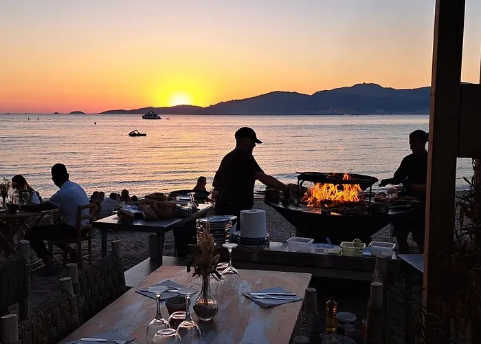 Duplex Neuf T3 Terrasse Et Jardin Proche Plages 公寓 Pietrosella