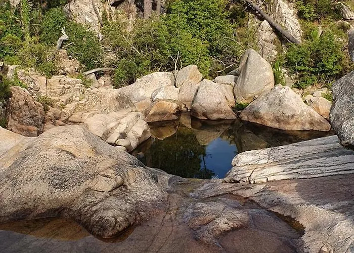 Duplex Neuf T3 Terrasse Et Jardin Proche Plages *