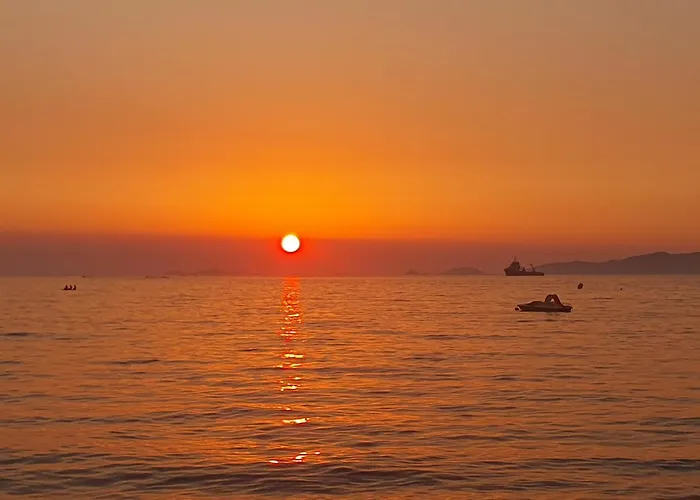 Duplex Neuf T3 Terrasse Et Jardin Proche Plages *