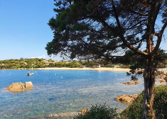 Duplex Neuf T3 Terrasse Et Jardin Proche Plages 公寓 *